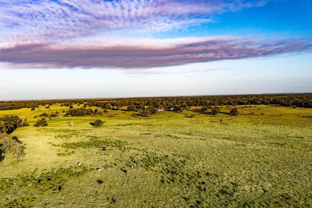 2993 County Road 320, Lexington, TX 78947