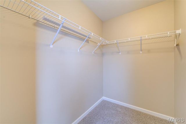 309 Willott Square Drive, St Peters, MO 63376