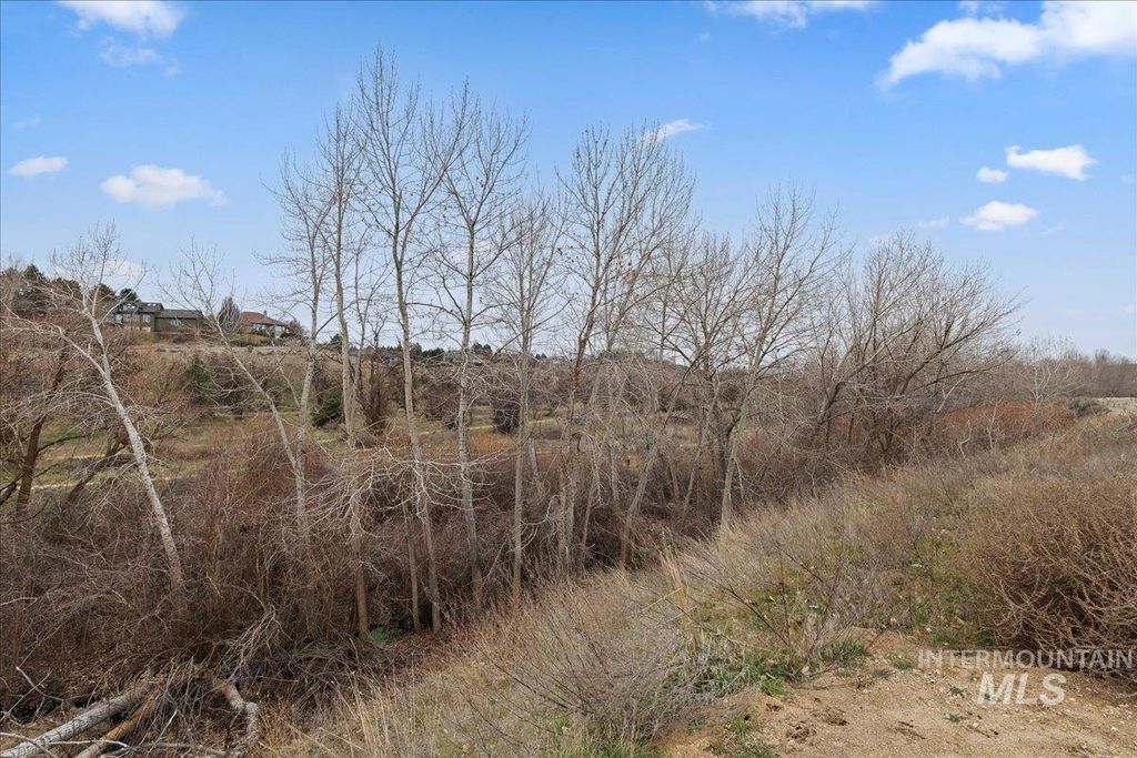 410 W Sand Dune Ln, Boise, ID 83702 photo 46