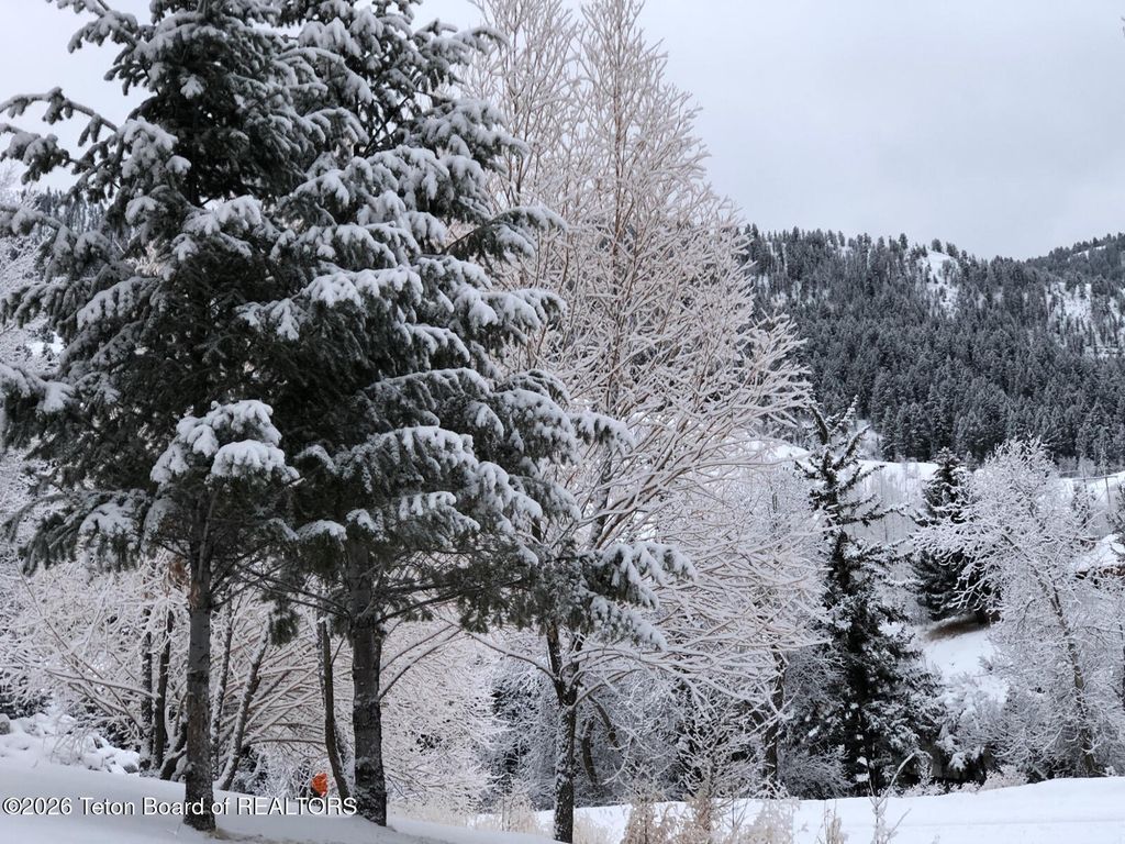 1610 E JW Drive, Jackson, WY 83001 photo 43