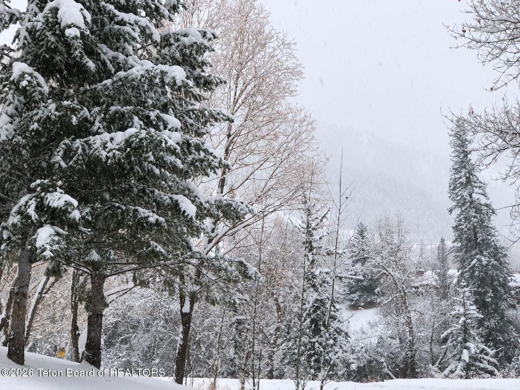 1610 E JW Drive, Jackson, WY 83001 photo 45