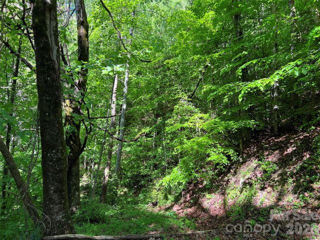 TBD Valley Drive, Lenoir, NC 28645