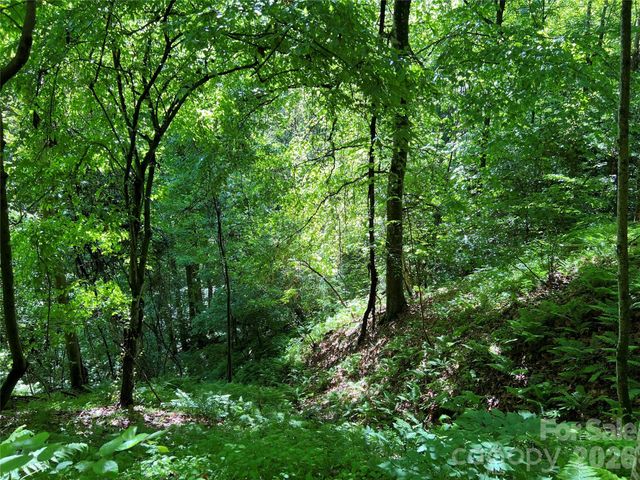 TBD Valley Drive, Lenoir, NC 28645