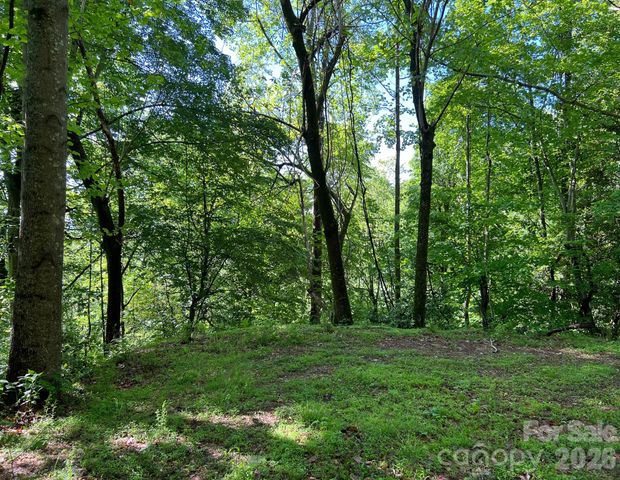 TBD Valley Drive, Lenoir, NC 28645