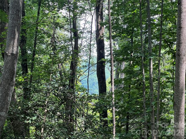 TBD Valley Drive, Lenoir, NC 28645