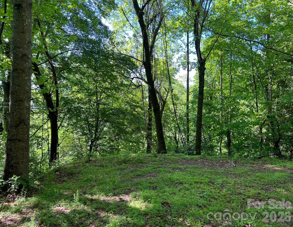 TBD Valley Drive, Lenoir, NC 28645
