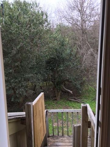 1713 Cinnamon PATH Studio, Austin, TX 78704