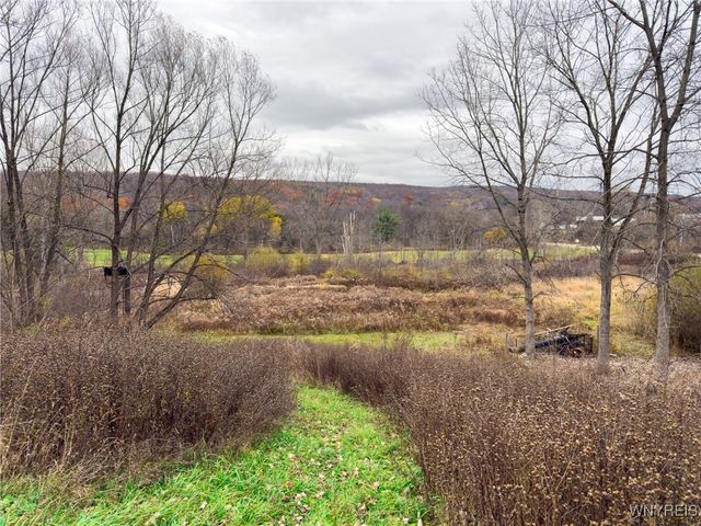 5527 East Creek Road, Wales, NY 14139