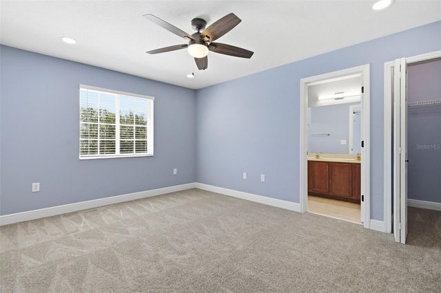 20402 NEEDLETREE DRIVE, Tampa, FL 33647