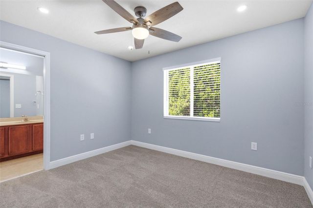 20402 NEEDLETREE DRIVE, Tampa, FL 33647