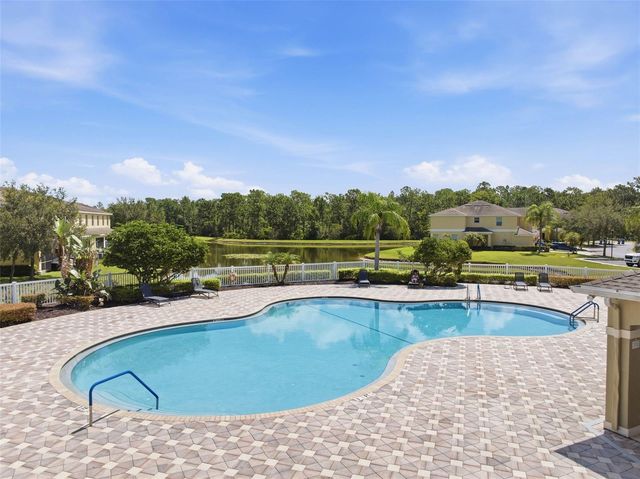 20402 NEEDLETREE DRIVE, Tampa, FL 33647