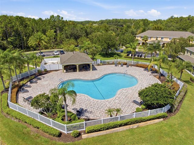 20402 NEEDLETREE DRIVE, Tampa, FL 33647