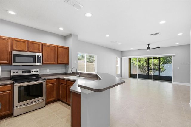 20402 NEEDLETREE DRIVE, Tampa, FL 33647