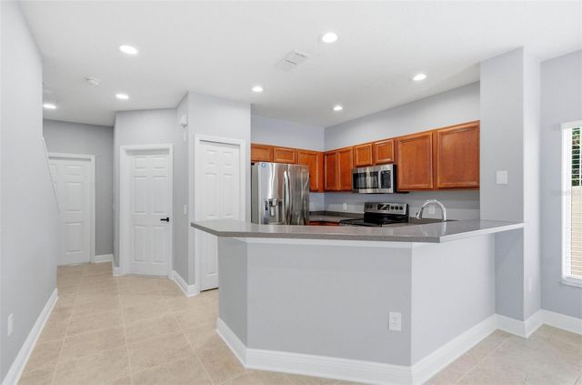 20402 NEEDLETREE DRIVE, Tampa, FL 33647