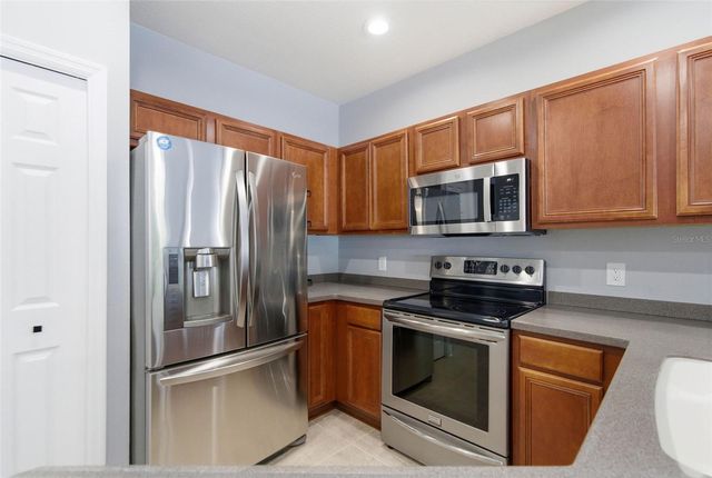 20402 NEEDLETREE DRIVE, Tampa, FL 33647