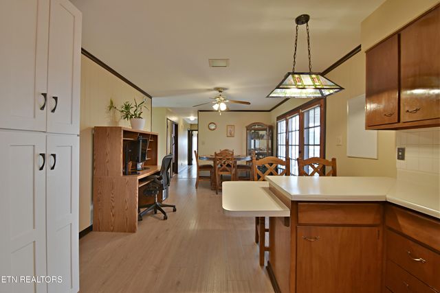 729 Owl Hollow Rd, Knoxville, TN 37923