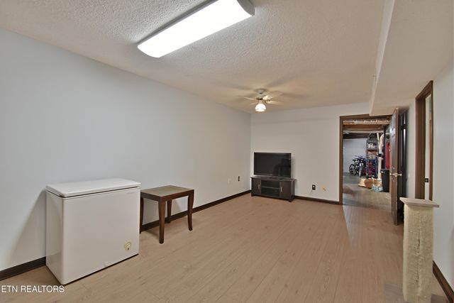 729 Owl Hollow Rd, Knoxville, TN 37923