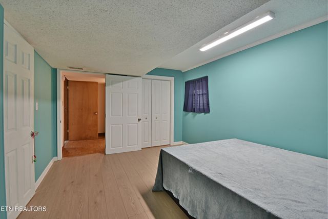 729 Owl Hollow Rd, Knoxville, TN 37923