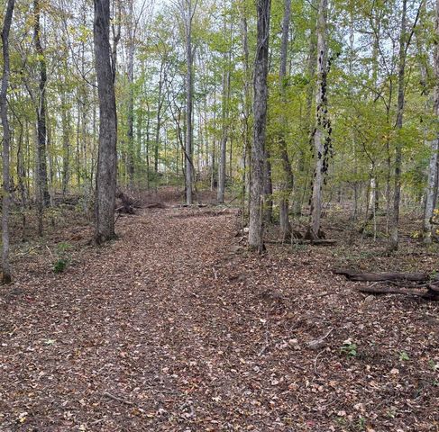 0 Downing Hollow Road, Waynesboro, TN 38485
