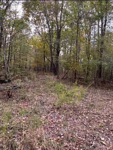 0 Downing Hollow Road, Waynesboro, TN 38485
