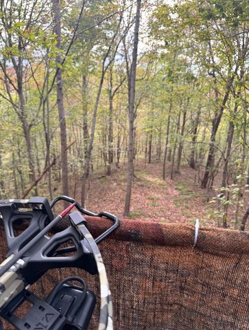 0 Downing Hollow Road, Waynesboro, TN 38485
