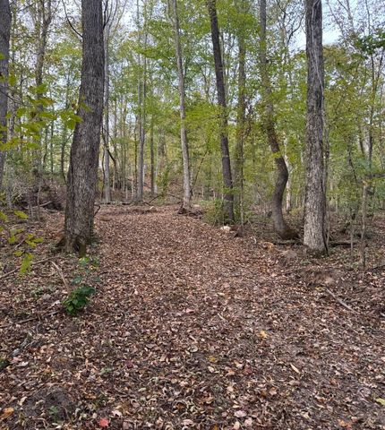 0 Downing Hollow Road, Waynesboro, TN 38485