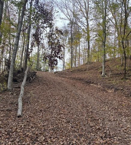 0 Downing Hollow Road, Waynesboro, TN 38485