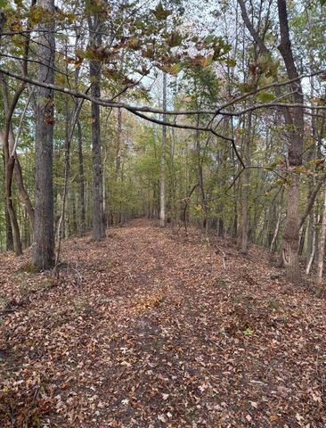 0 Downing Hollow Road, Waynesboro, TN 38485