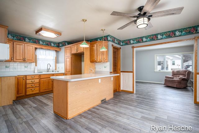 213 E Lytle Street, Ionia City, MI 48846