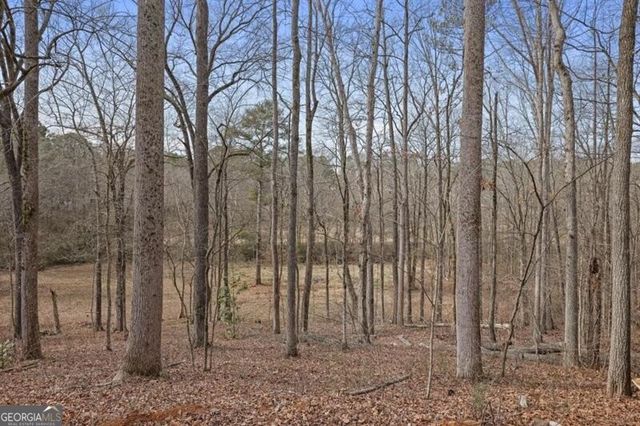 366 Greycoat Bluff SW, Marietta, GA 30064