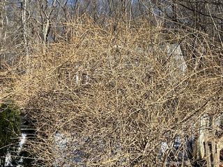 1 Parsons Drive, Waterbury, CT 06708