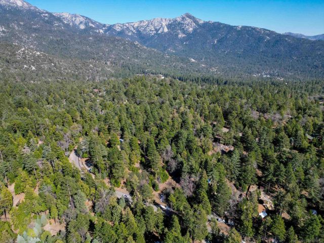 00 Laurel Trail Lot 7, Pine Cove Idyllwild, CA 92549