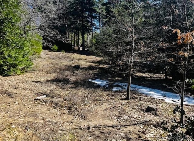 00 Laurel Trail Lot 7, Pine Cove Idyllwild, CA 92549