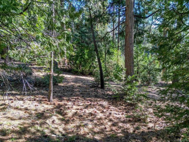 00 Laurel Trail Lot 7, Pine Cove Idyllwild, CA 92549
