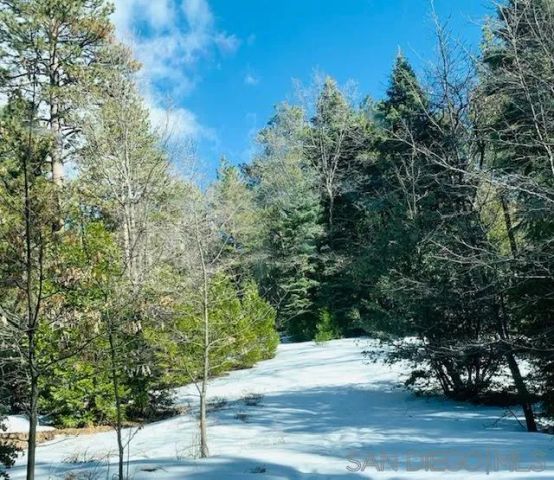 00 Laurel Trail Lot 7, Pine Cove Idyllwild, CA 92549