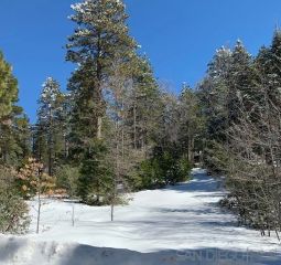 00 Laurel Trail Lot 7, Pine Cove Idyllwild, CA 92549