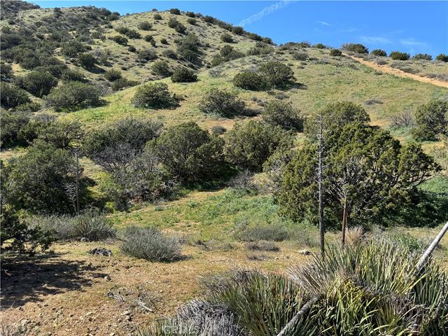 0 0, Acton, CA 93510