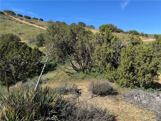 0 0, Acton, CA 93510