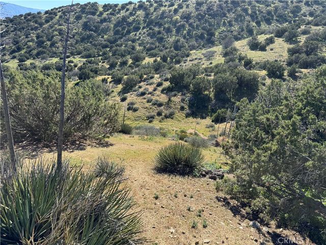 0 0, Acton, CA 93510