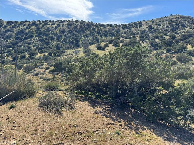 0 0, Acton, CA 93510