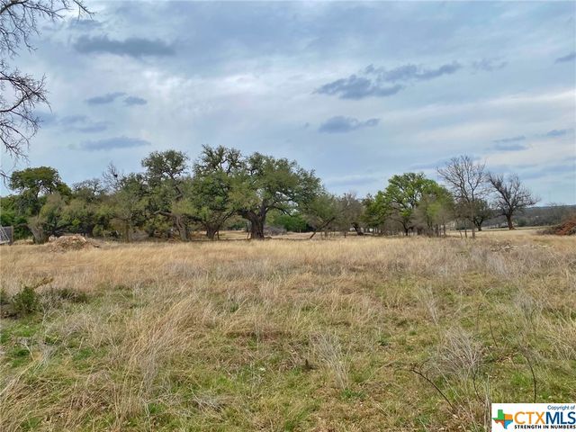 109 Rio Grande Drive, Blanco, TX 78606
