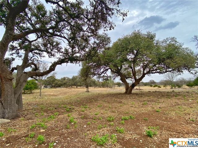 109 Rio Grande Drive, Blanco, TX 78606