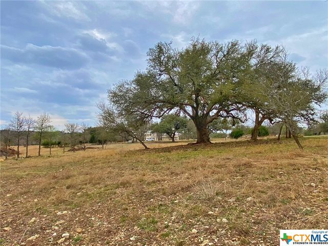 109 Rio Grande Drive, Blanco, TX 78606