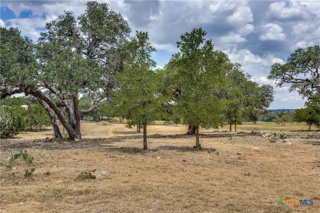 109 Rio Grande Drive, Blanco, TX 78606