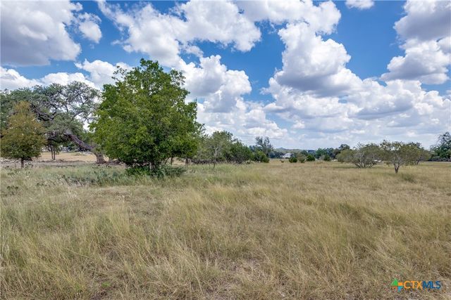 109 Rio Grande Drive, Blanco, TX 78606