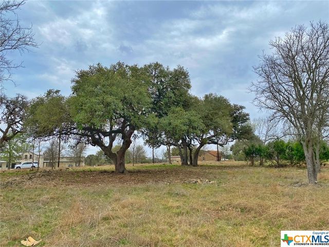 109 Rio Grande Drive, Blanco, TX 78606