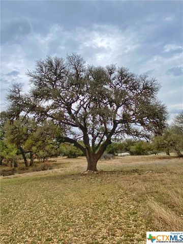 109 Rio Grande Drive, Blanco, TX 78606