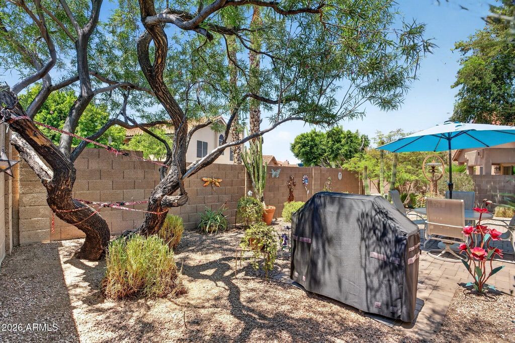 6703 E SUGARLOAF Street, Mesa, AZ 85215 — photo 5