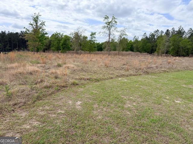 7518 Buck Head Road, Baxley, GA 31513