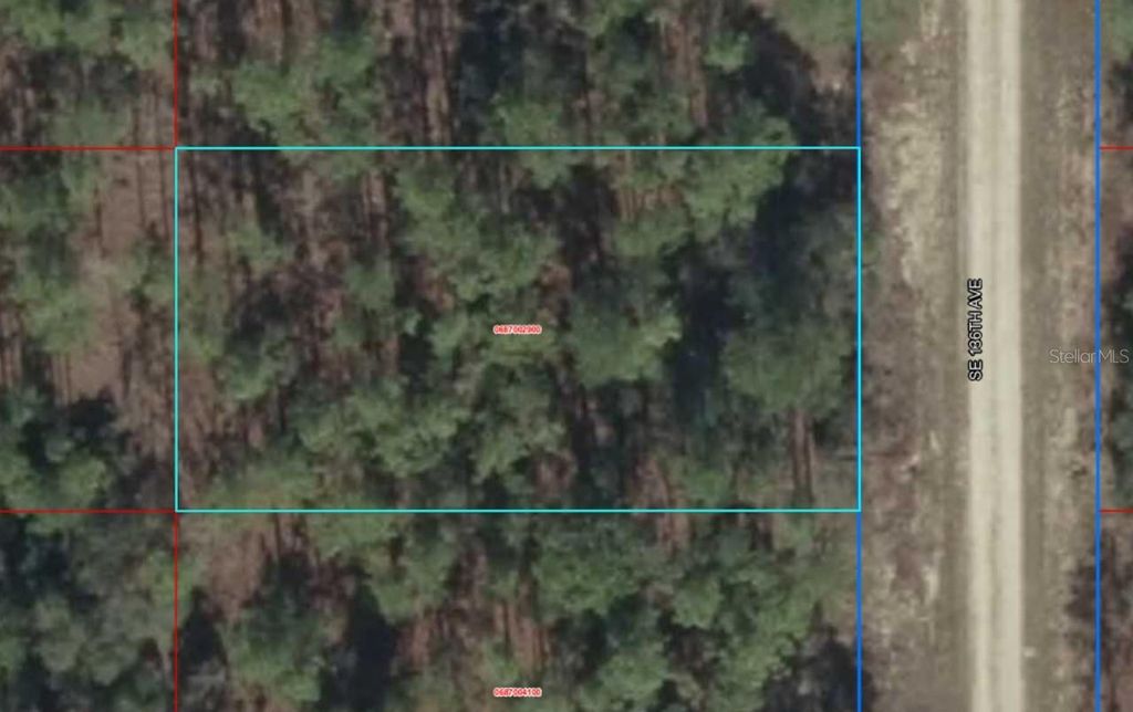 Lot 10 SE 136TH AVENUE, Dunnellon, FL 34431